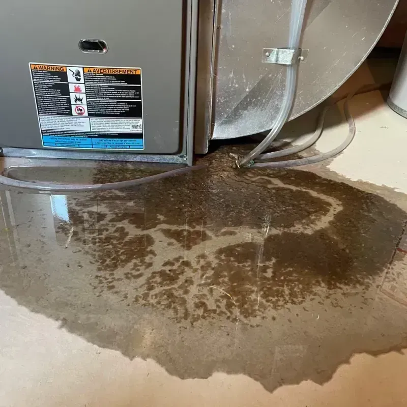 Appliance Leak Cleanup in Uptown, IL